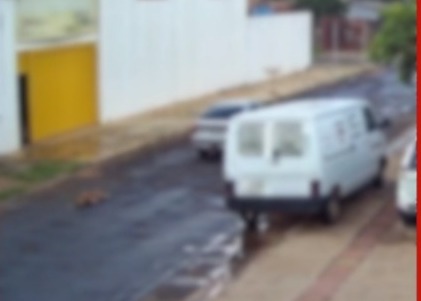 Advogado diz que motorista não viu cachorro amarrado em veículo e classifica o caso como 'um acidente' Advogado diz que motorista não viu cachorro amarrado em veículo e classifica o caso como 'um acidente'