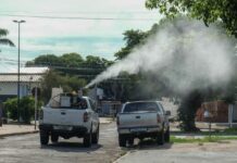 Fumacê passa por quatro bairros da Capital para combater Aedes Aegypti
