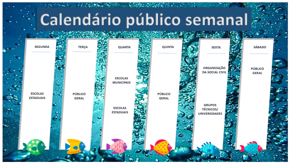 Com ampliação de 1 mil vagas por dia, Bioparque Pantanal abre cadastro de visitas para junho no dia 16