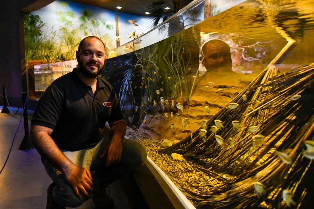 Bioparque Pantanal tem reprodução inédita no mundo de espécie descoberta em MS