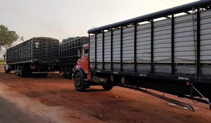 Iagro suspende obrigatoriedade de uso do aplicativo de transporte de animais