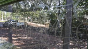 Tristeza: Revitalização do Parque dos Poderes é alvo de pichação na Capital Tristeza: Revitalização do Parque dos Poderes é alvo de pichação na Capital