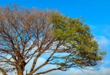 Frente fria marca início do inverno em MS, que tende a ser mais quente que o habitual