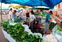 Feiras Livres são reconhecidas como atividade essencial em MS