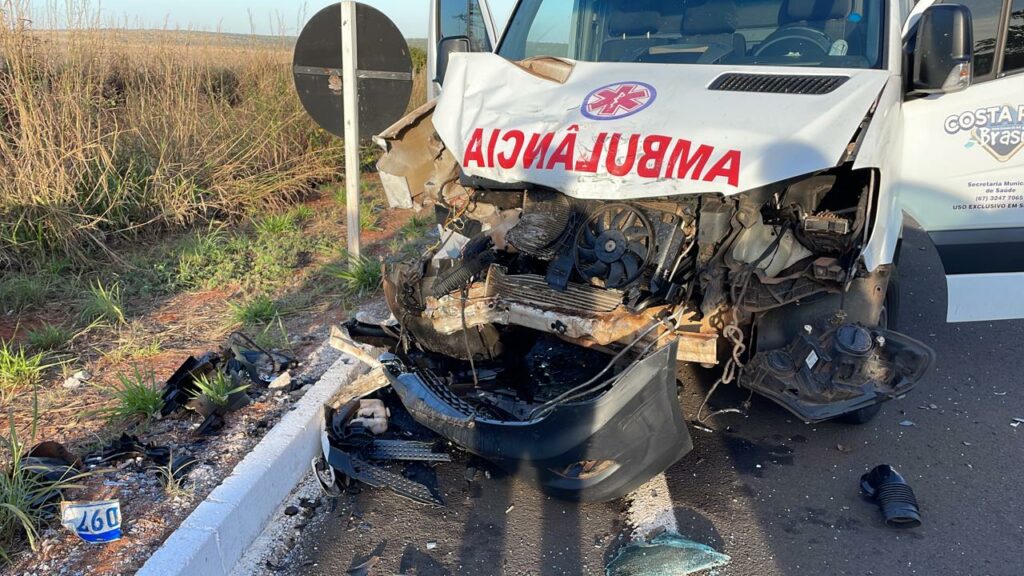 Veículo colide com anta e acaba atingindo ambulância em rodovia de MS Veículo colide com anta e acaba atingindo ambulância em rodovia de MS