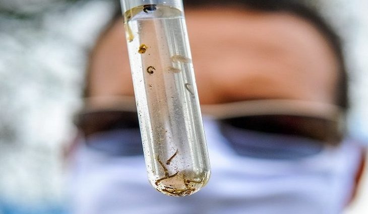Estado registrou 17 mortes por dengue no primeiro semestre deste ano