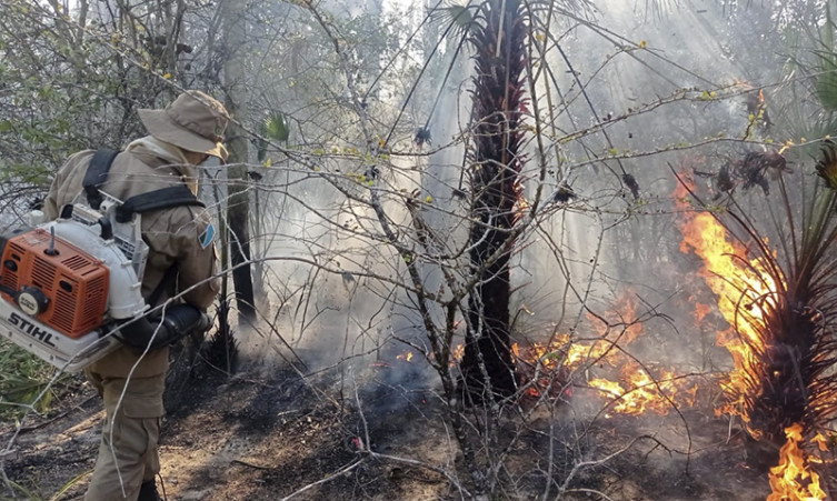 Bombeiros controlam incêndio em Porto Murtinho, mas focos continuam na região do Abobral