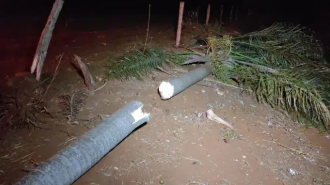 Produtor rural morre após capotar caminhonete em rodovia de MS Produtor rural morre após capotar caminhonete em rodovia de MS