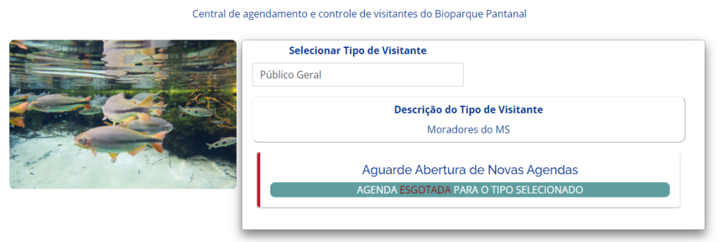 Vagas para visitas ao Bioparque Pantanal esgotam em poucas horas Vagas para visitas ao Bioparque Pantanal esgotam em poucas horas
