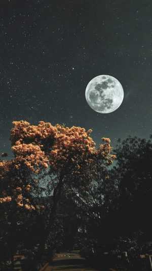 Super-Lua acontece novamente nesta semana Super-Lua acontece novamente nesta semana