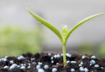 Senado aprova plano para fabricação de fertilizantes no Brasil