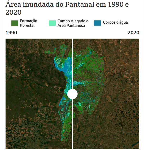 Em 30 anos, Pantanal está mais seco e com mais pastagem, diz pesquisa Em 30 anos, Pantanal está mais seco e com mais pastagem, diz pesquisa