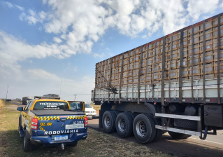 Dupla é presa transportando maconha escondida em carga de bananas