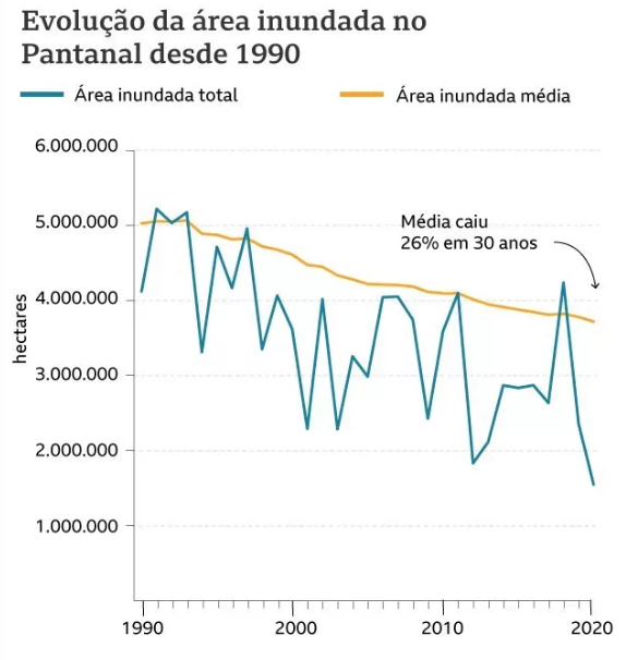 Em 30 anos, Pantanal está mais seco e com mais pastagem, diz pesquisa Em 30 anos, Pantanal está mais seco e com mais pastagem, diz pesquisa