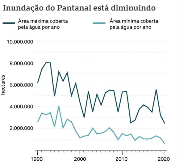 Em 30 anos, Pantanal está mais seco e com mais pastagem, diz pesquisa Em 30 anos, Pantanal está mais seco e com mais pastagem, diz pesquisa
