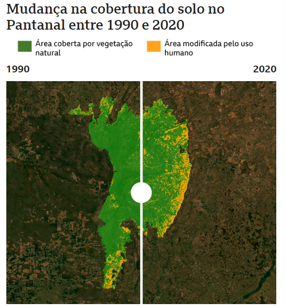 Em 30 anos, Pantanal está mais seco e com mais pastagem, diz pesquisa Em 30 anos, Pantanal está mais seco e com mais pastagem, diz pesquisa