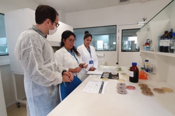 ISI Biomassa desenvolve biodefensivo alternativo a partir de bagaço da cana-de-açúcar ISI Biomassa desenvolve biodefensivo alternativo a partir de bagaço da cana-de-açúcar