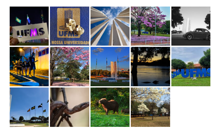 Termina hoje a votação para a escolha da foto de capa do calendário UFMS 2023