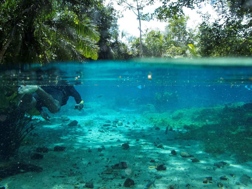 Bonito é 1º destino de ecoturismo do mundo com certificação carbono neutro Bonito é 1º destino de ecoturismo do mundo com certificação carbono neutro
