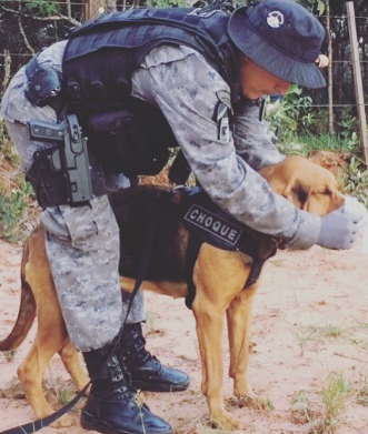 Desaparecido há dois dias, autista é localizado por equipe do canil do Choque Desaparecido há dois dias, autista é localizado por equipe do canil do Choque