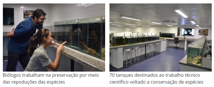 Bioparque Pantanal soma 27 reproduções de espécies de água doce Bioparque Pantanal soma 27 reproduções de espécies de água doce