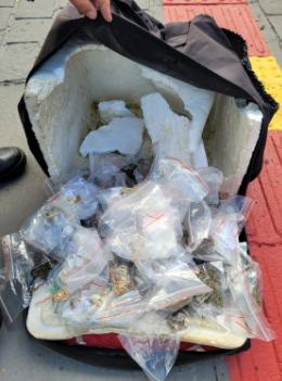 Delivery do tráfico: motociclista é preso com drogas dentro de bolsa de entrega de lanches Delivery do tráfico: motociclista é preso com drogas dentro de bolsa de entrega de lanches