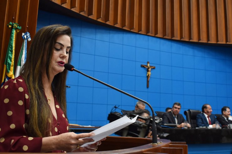 Deputados se solidarizam com familiares de jovens de MS que perderam suas vidas no RJ Deputados se solidarizam com familiares de jovens de MS que perderam suas vidas no RJ