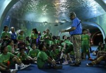 Agendamento para visitas escolares no Bioparque Pantanal tem início nesta quinta-feira