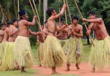 Dia dos Povos Indígenas: conheça histórico nacional e que MS tem oito etnias em 29 municípios