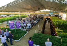 Trincheiras serão atração técnica do 26º Showtec