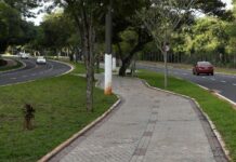 Parque dos Poderes recebe Corrida Solidária e Cãominhada