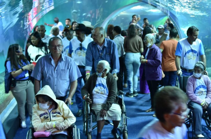 Três lugares para conhecer no dia mundial da conscientização sobre acessibilidade