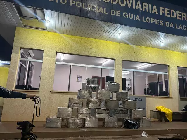 'Al Pacino' viria a Capital em caminhão com R$ 83 milhões em drogas