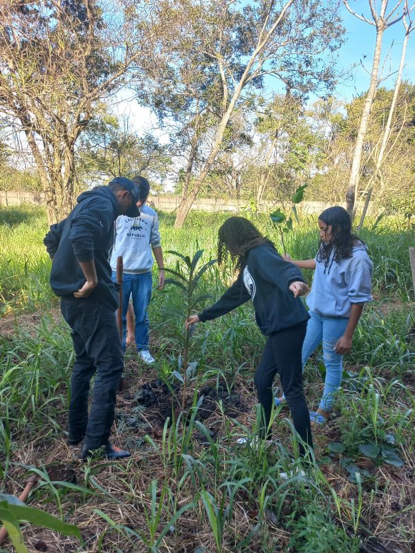 Imam inicia ações da Semana Meio Ambiente com palestras e plantio de mudas em Dourados Imam inicia ações da Semana Meio Ambiente com palestras e plantio de mudas em Dourados