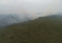 Bombeiros tentam apagar incêndio florestal na região do Forte Coimbra