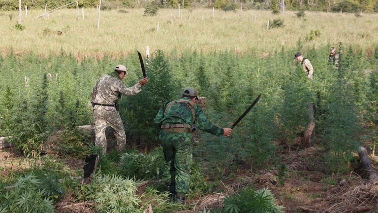 PF e Senad do Paraguai encerram a 38ª fase da Operação Nova Aliança