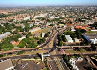 Category Template 1