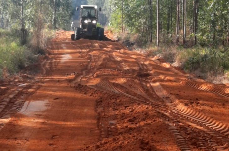 Força-tarefa do governo com gigante da celulose vai recuperar 100 km de rodovia em sonora