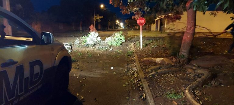 Dourados registra temporal com rastro de 'destruição' pela cidade que teve milhares ficando sem energia Dourados registra temporal com rastro de 'destruição' pela cidade que teve milhares ficando sem energia