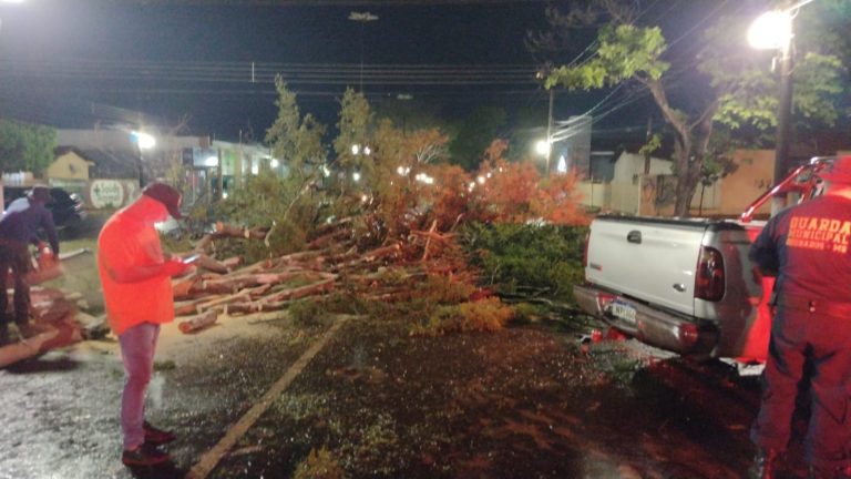 Dourados registra temporal com rastro de 'destruição' pela cidade que teve milhares ficando sem energia Dourados registra temporal com rastro de 'destruição' pela cidade que teve milhares ficando sem energia