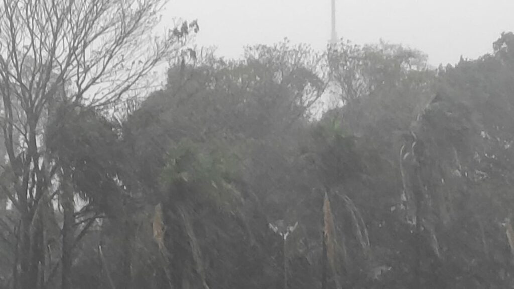 Temporal que fez 'estragos' no interior de MS chega com força a Campo Grande