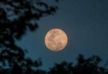 Superlua Azul deve brilhar no céu de Campo Grande; saiba melhor momento para ver