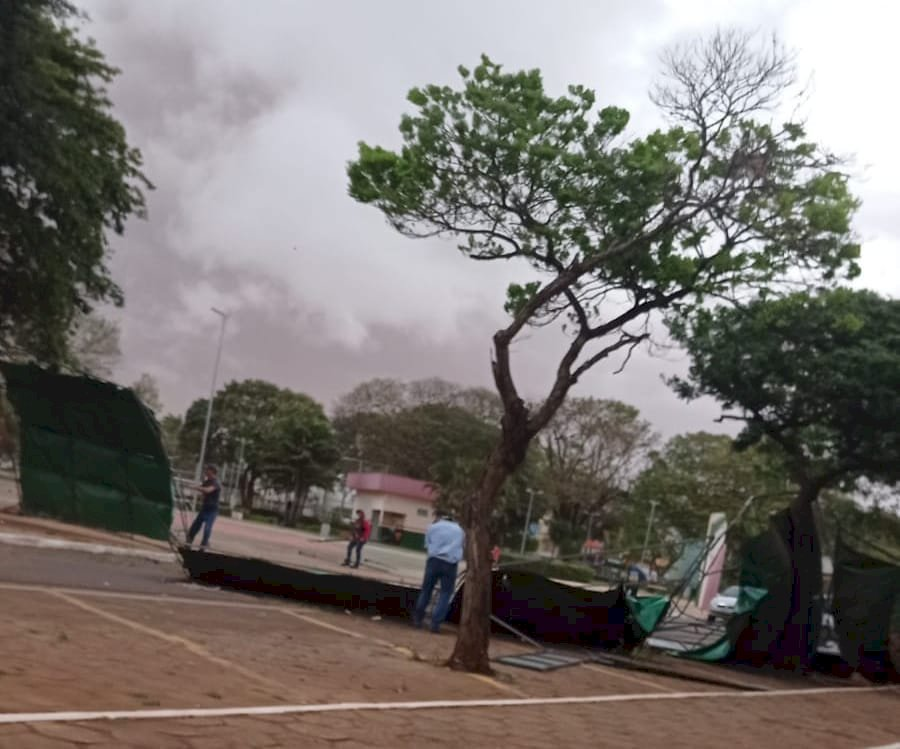 Temporal derruba árvores, corta energia e provoca estragos em cidades de MS