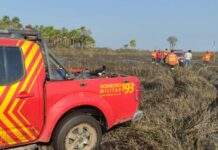 Bombeiros de MS atuam no combate a três incêndios florestais no Pantanal