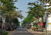Com ondas de calor, corredor verde na 14 de Julho garante sombra e conforto térmico para a população
