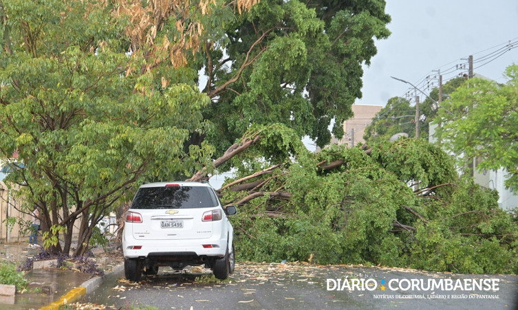 Temporal provoca destruíção e morte de criança em Corumbá; vídeo mostra telhado de loja desmoronando