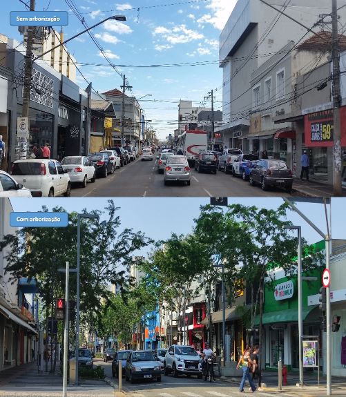 Com ondas de calor, corredor verde na 14 de Julho garante sombra e conforto térmico para a população Com ondas de calor, corredor verde na 14 de Julho garante sombra e conforto térmico para a população