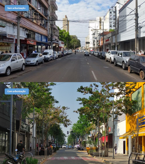 Com ondas de calor, corredor verde na 14 de Julho garante sombra e conforto térmico para a população Com ondas de calor, corredor verde na 14 de Julho garante sombra e conforto térmico para a população