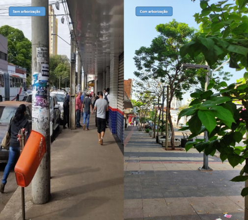 Com ondas de calor, corredor verde na 14 de Julho garante sombra e conforto térmico para a população Com ondas de calor, corredor verde na 14 de Julho garante sombra e conforto térmico para a população