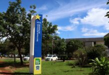 Governo de MS institui programa Recupera-MS para apoiar empresas em processo de recuperação judicial